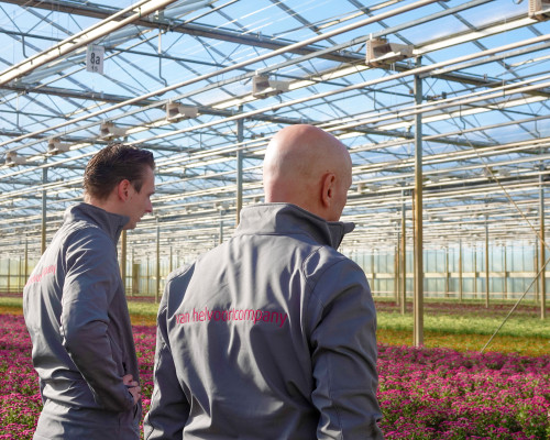 Van Helvoort Company